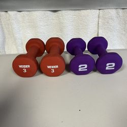 Weider Weights
