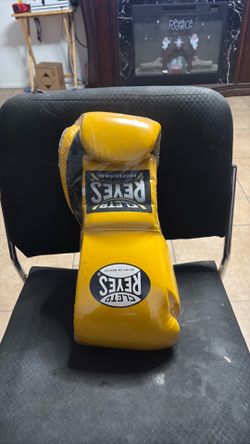 Cleto Reyes pro boxing gloves