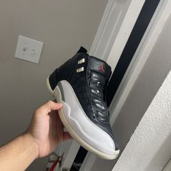 Jordan 12