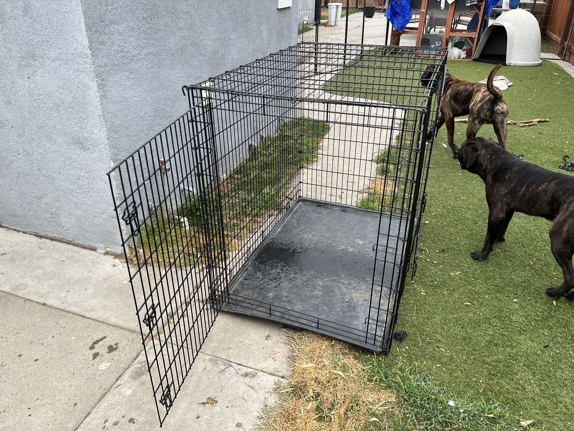 XL Dog Kennel 