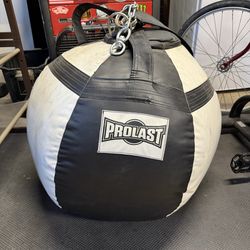 Prolast Wrecking Ball