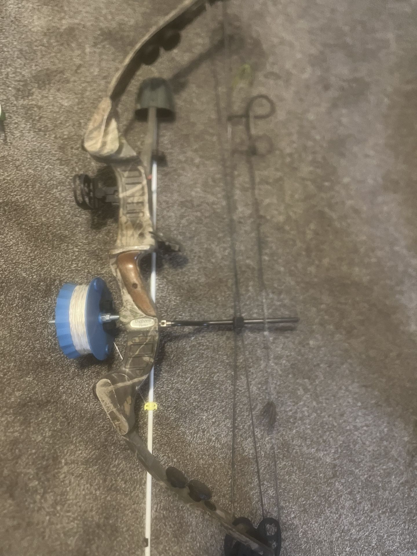 Bowfishing