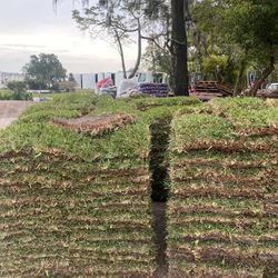 Provista sod Disponible!!