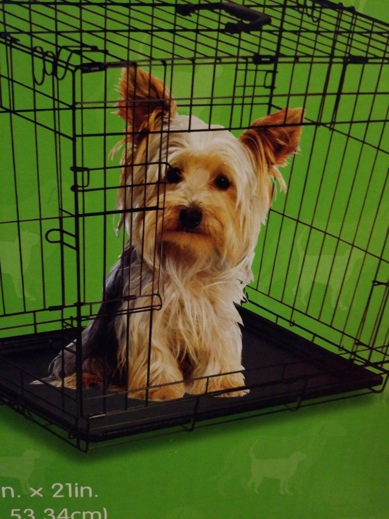 Dog Crate