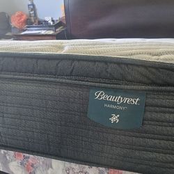 Beautyrest Harmony Cypress Plush 