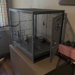 Bird Cage 