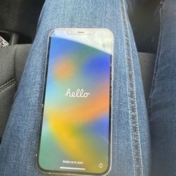 Apple  Iphon  12 Pro  Max 