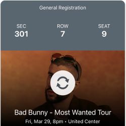 Bad Bunny Concert United Center