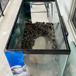 40 Gallon Fish Breeder Tank
