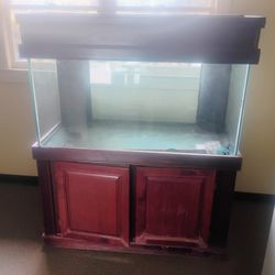 135 Gallon All Glass Aquarium With Octopus Protein Skimmer