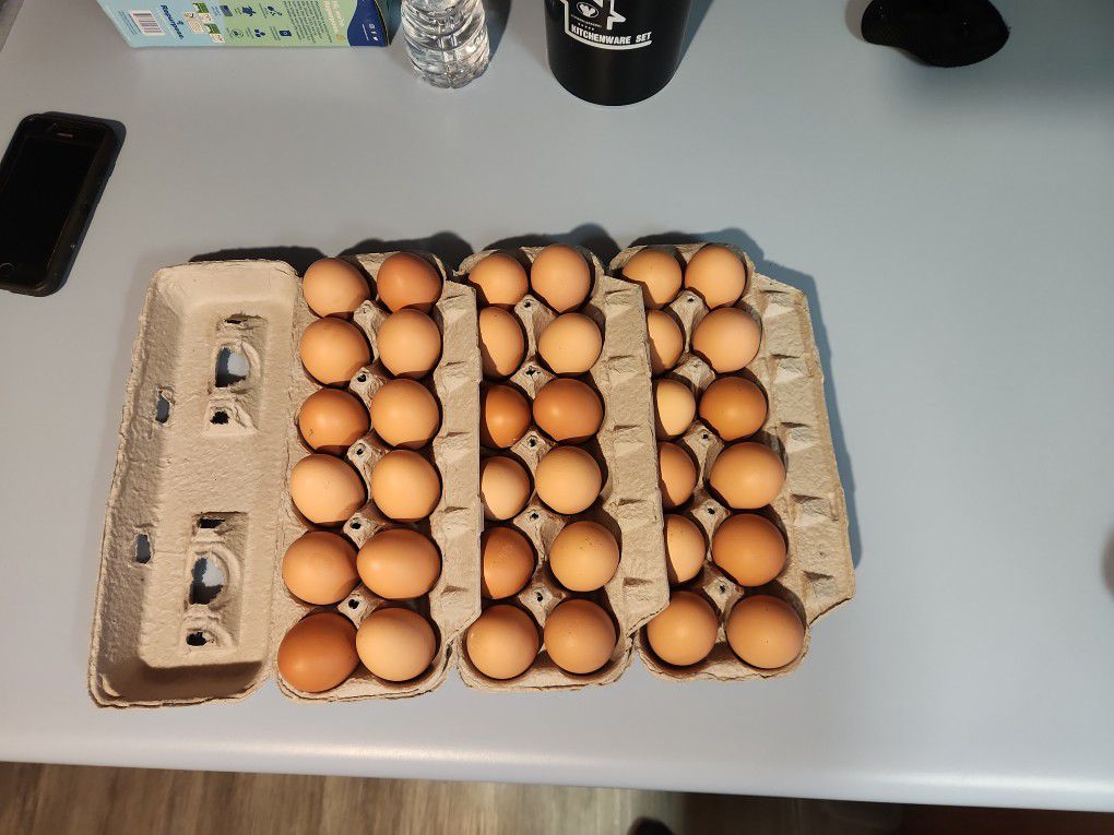 Free Range Brown Chicken Eggs 