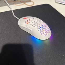 Mouse