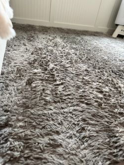 Gray Shag Area Rug