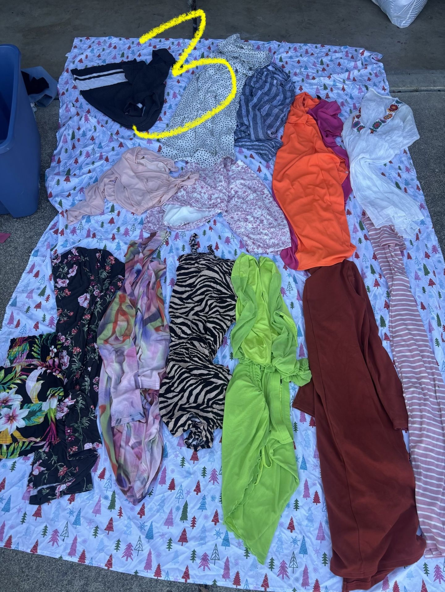 Woman’s Clothing 
