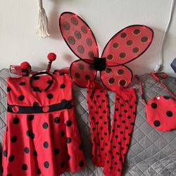 Kids Ladybug Costume 
