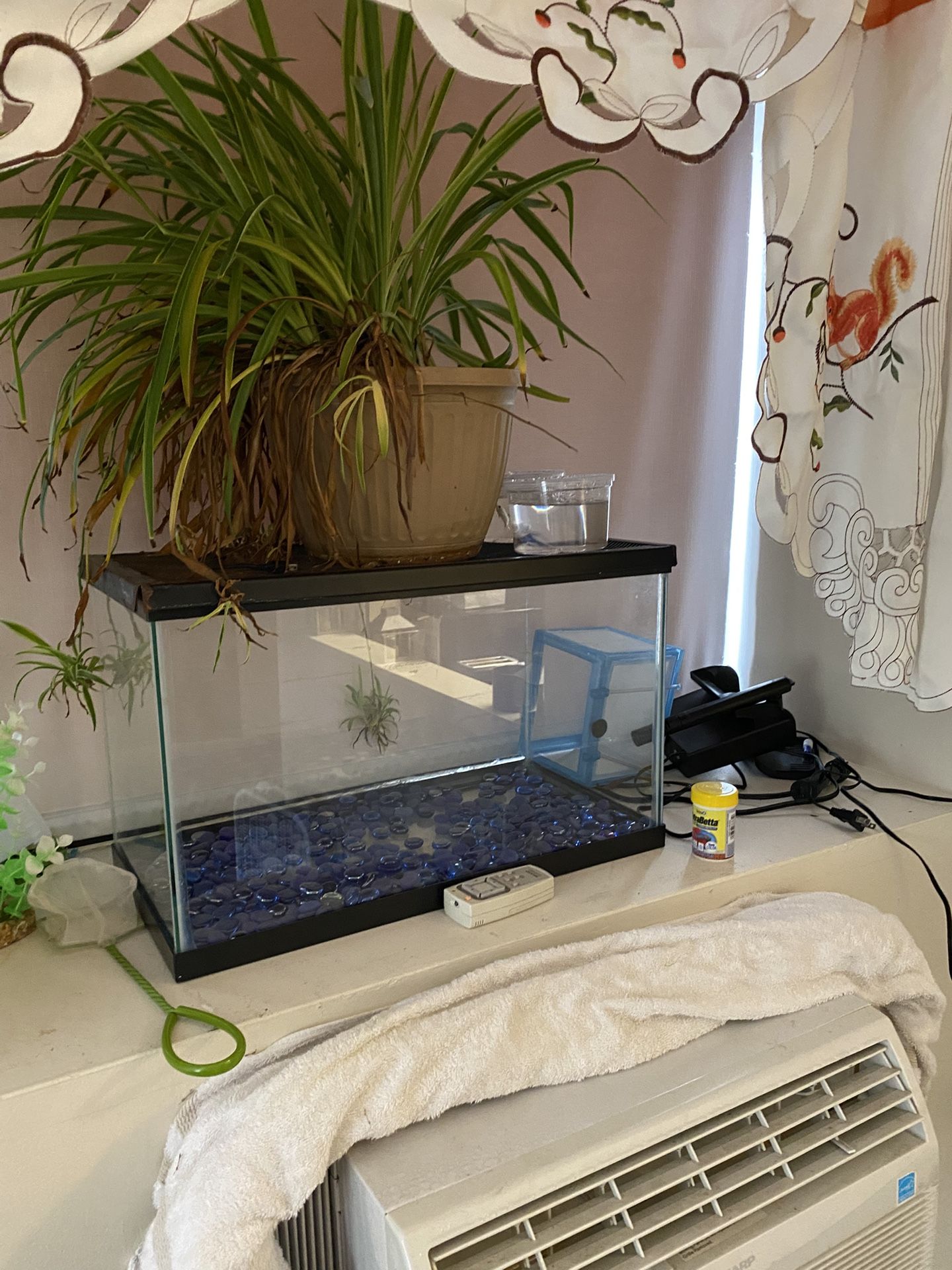 Fish Tank W Fish