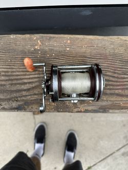 Penn Squider