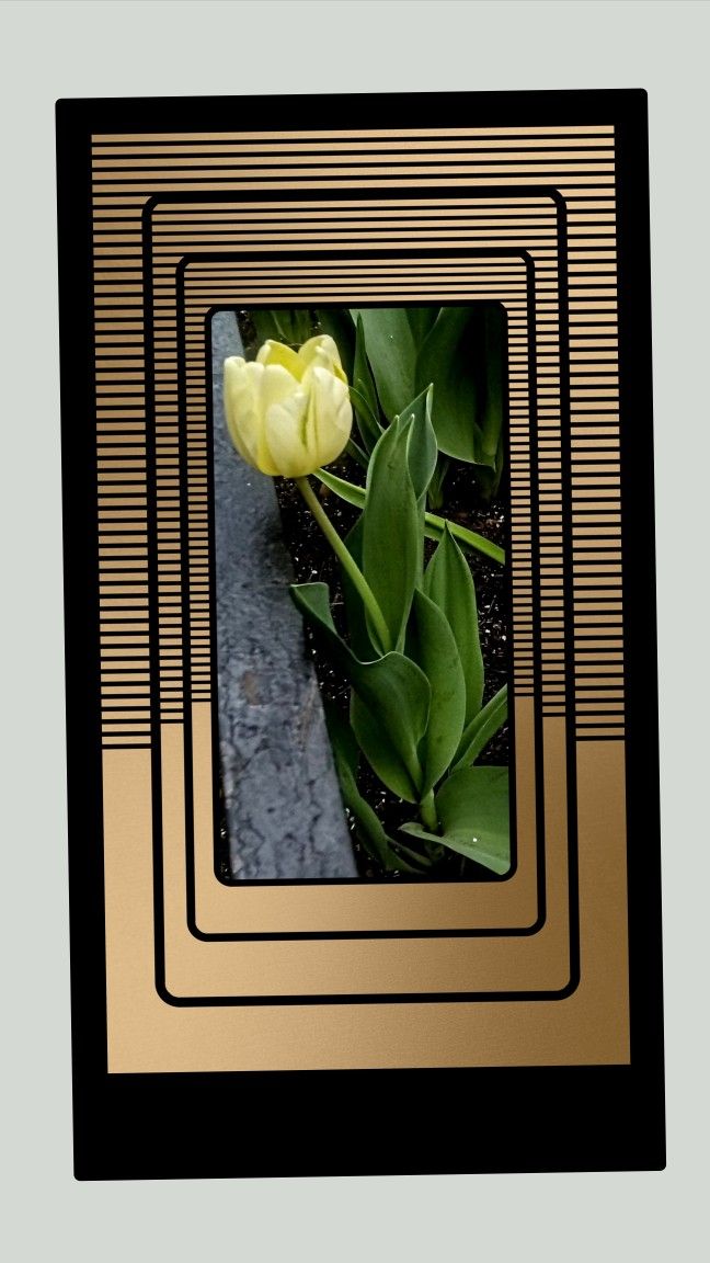 Beautiful Images on Post Cards