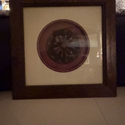 Framed Art Piece