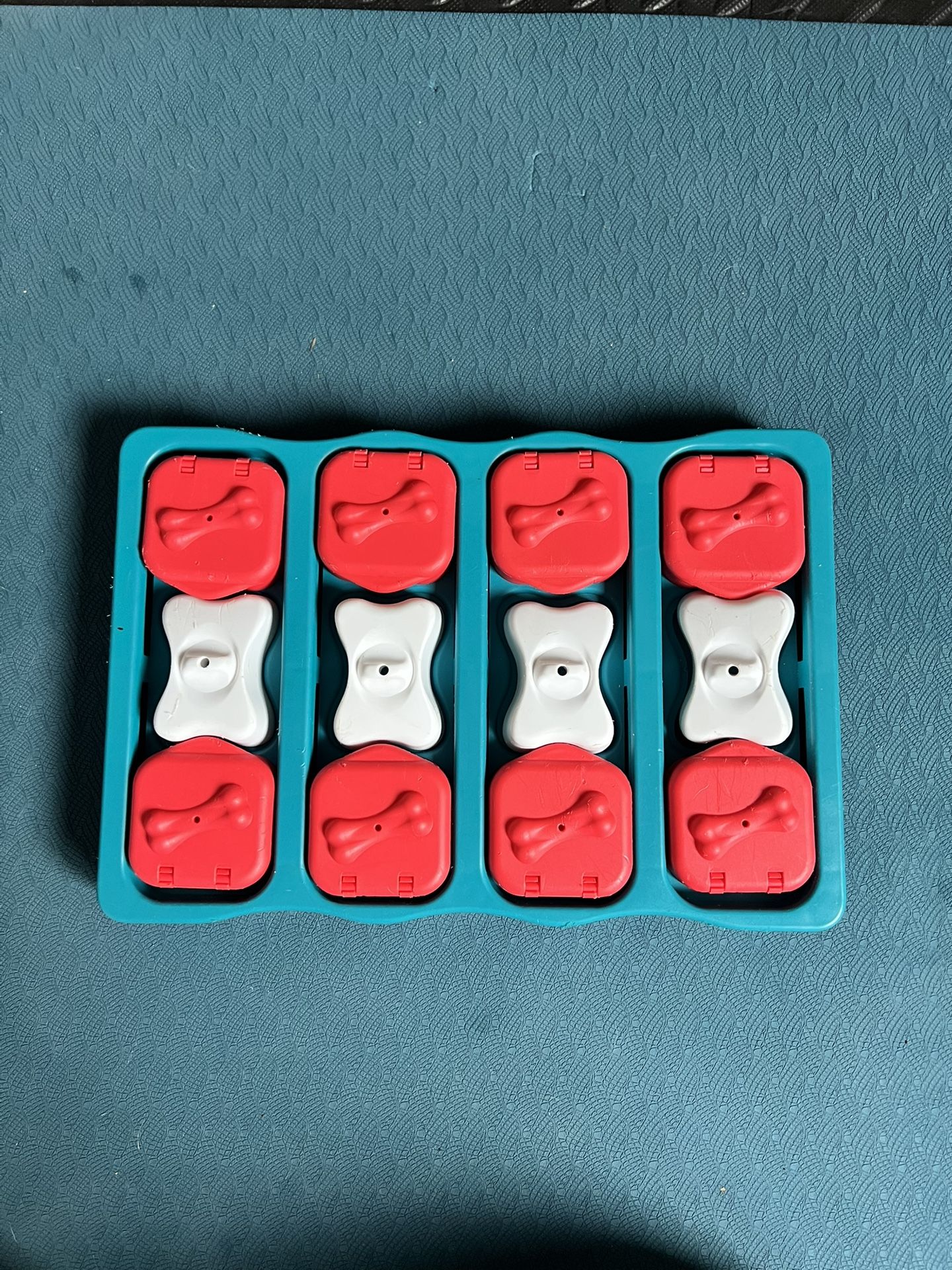 Puppy Brain Teaser Feeder