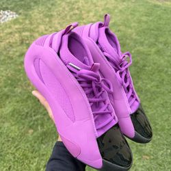 Harden Vol 8 'Purple Burst'