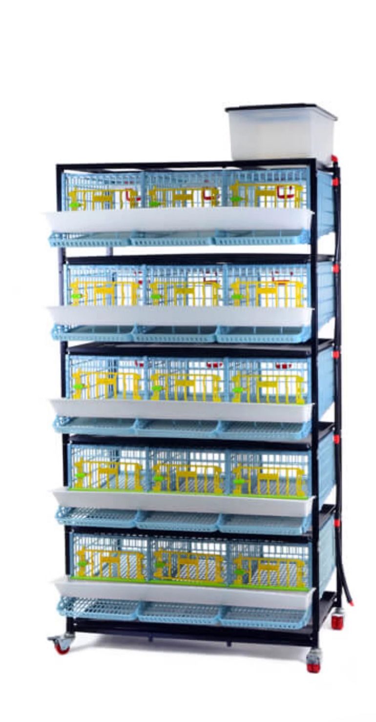 Quail Cage ( Quail For Sell