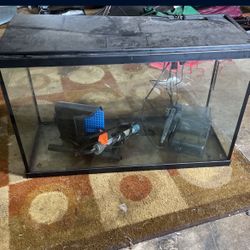Fish Tank 