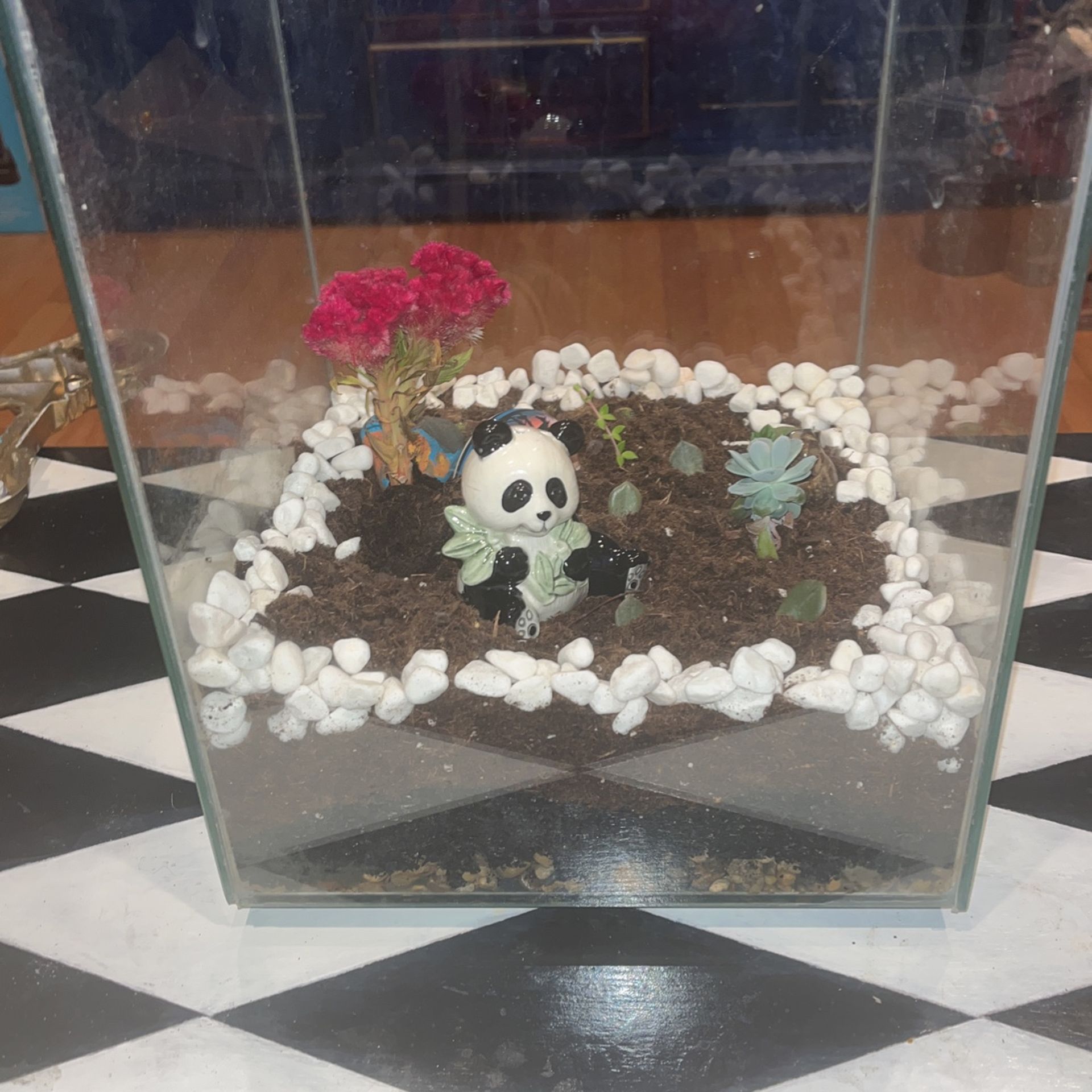 Terrarium Glass Garden