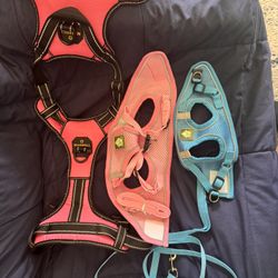 All Brand New Doggy Leash And Harnesses Free Free Free