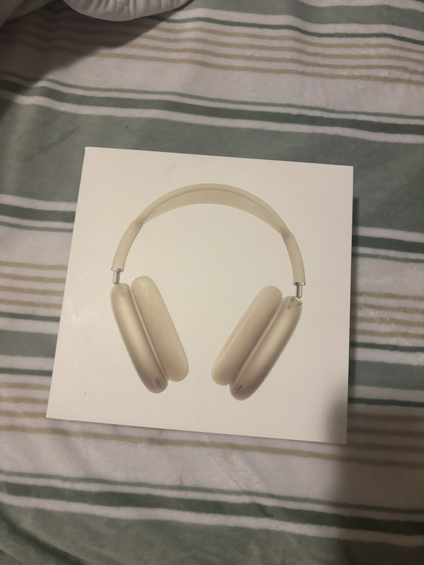 Apple Headphone / Maxes Obo