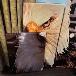 5 Piece Harley Davidson Wall Pic