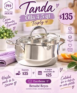 Princess House Triply Stainless Steel Pot 4.5 qt