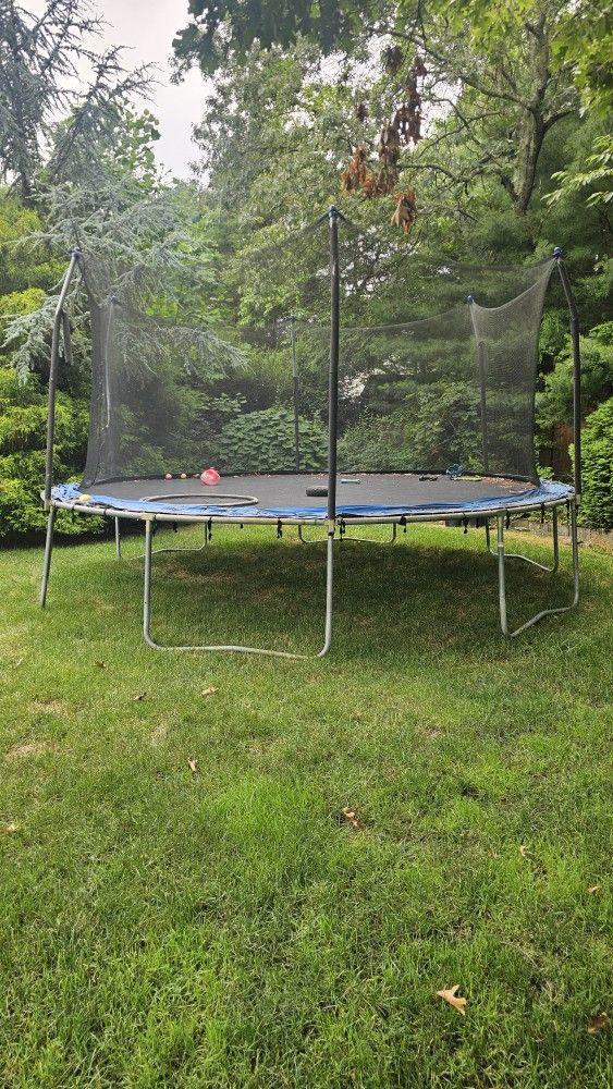 Free Trampoline