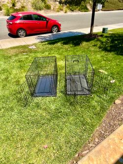 Dog Kennel