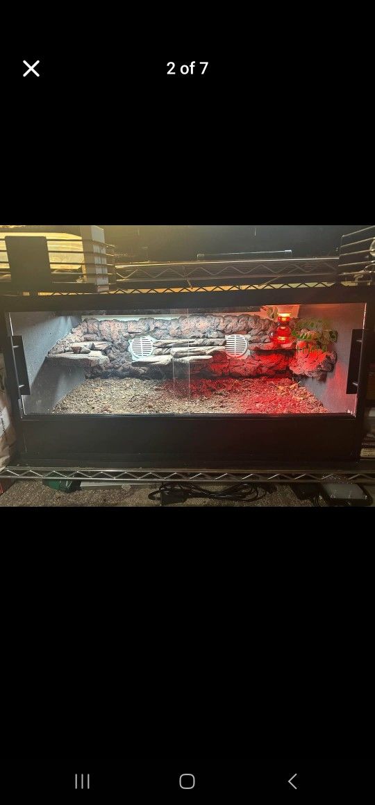 Reptile Enclosure