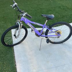 Diamondback Octane24
