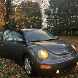 2006 Volkswagen New