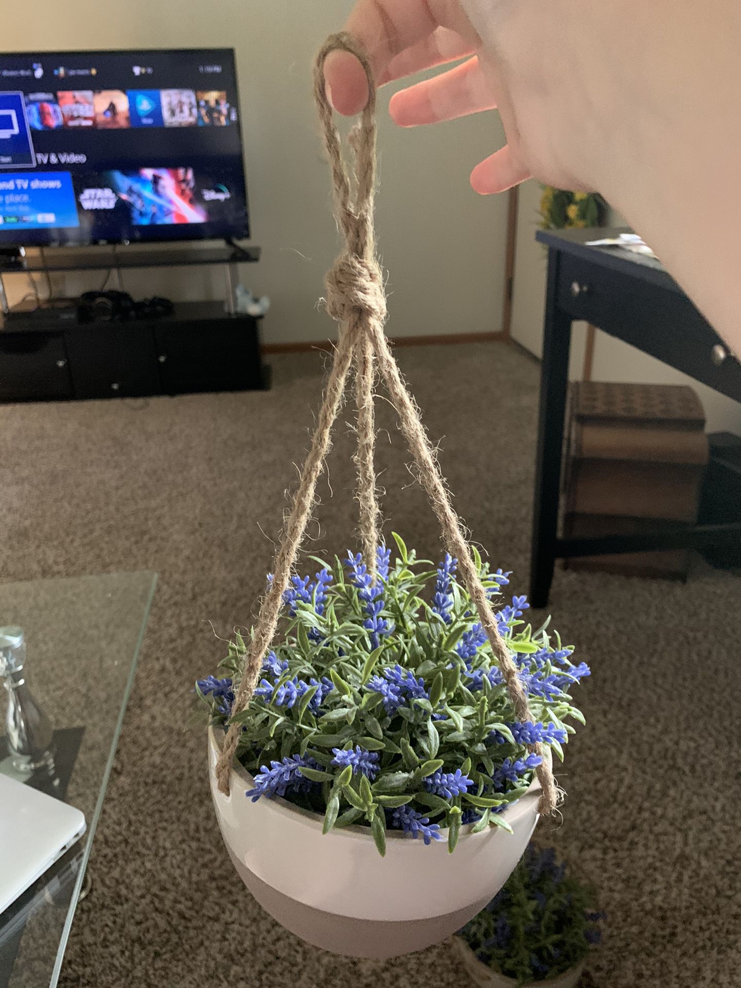 2 plant hangers(fake lavender plant included)