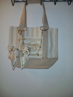 Trader Joe's mini canvas tote