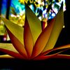 Sharath