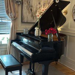Piano And Furniture And Accessories