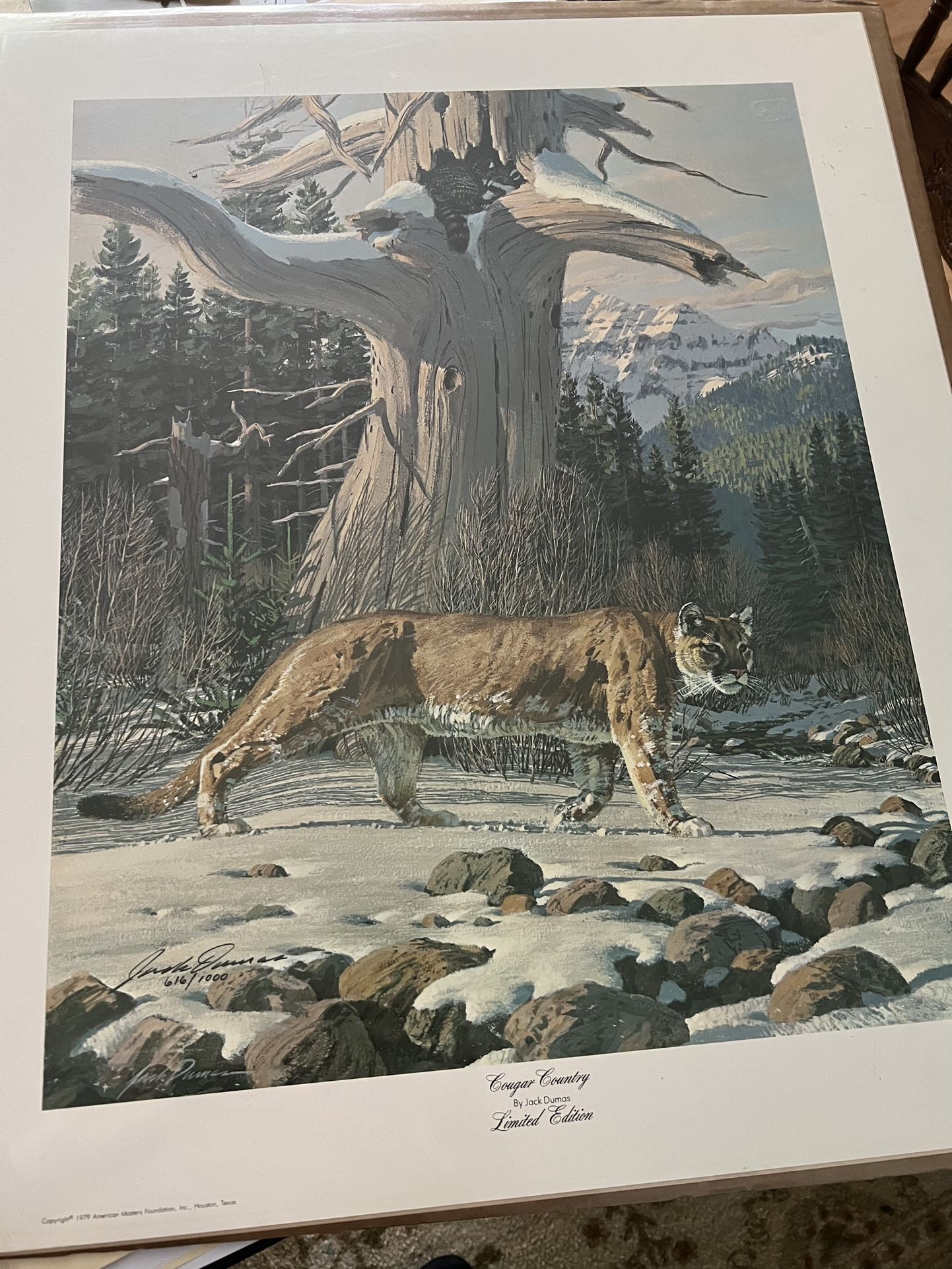 Jack Dumas “Cougar Country” Print