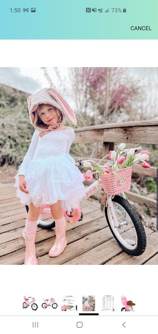 Joystar Little Girls Bike Pink