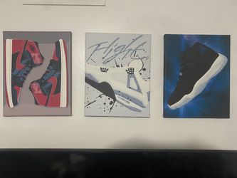 Air Jordan Canvases