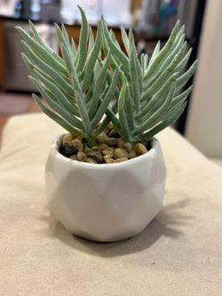 Faux Succulent With Vase