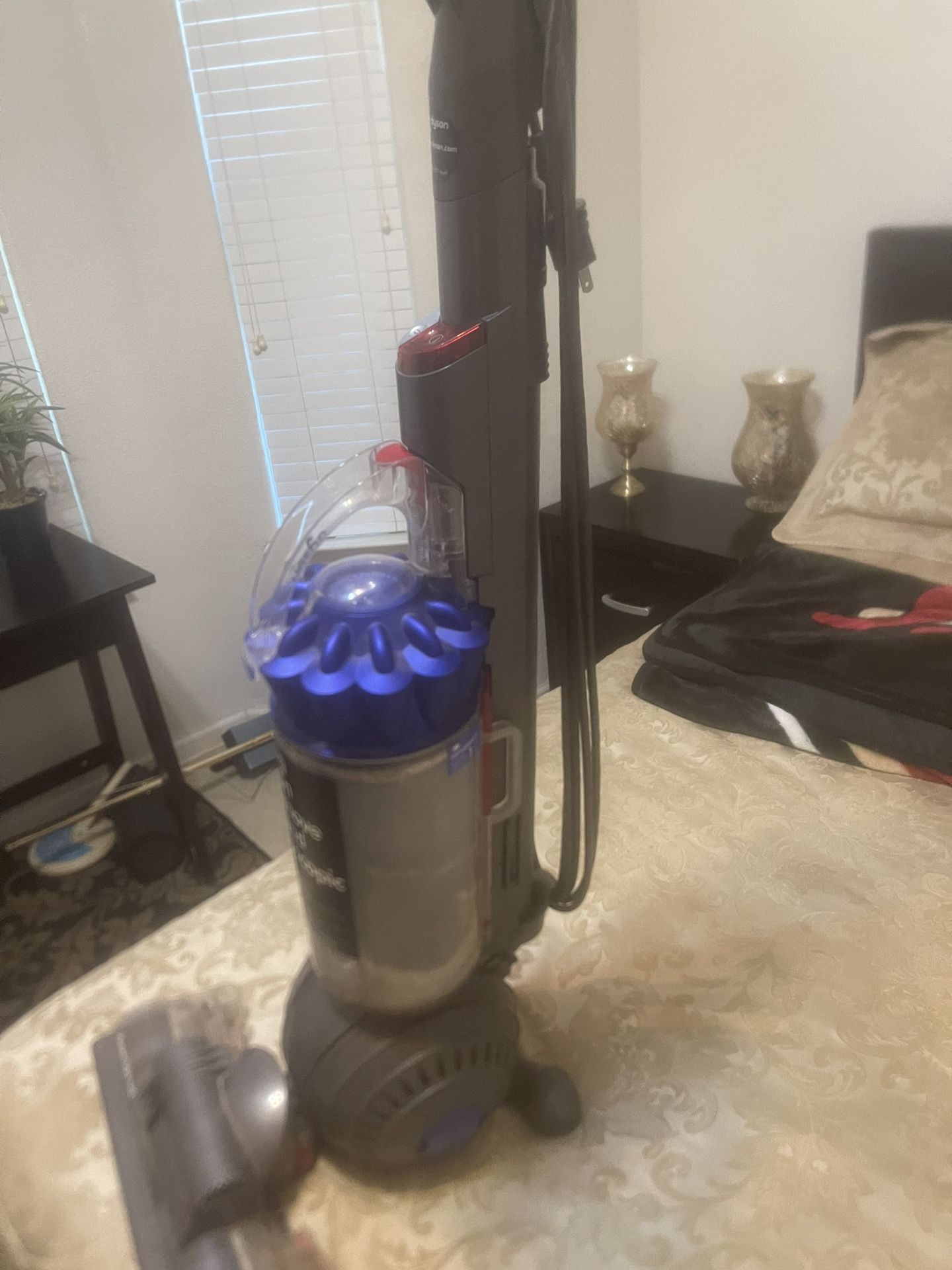 Dyson Vacuum