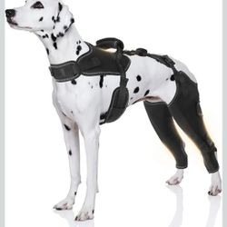 Dog ACL Knee Brace for Torn ACL Leg Luxating Patella Dog Knee Braces - XL