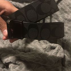 coach belt 