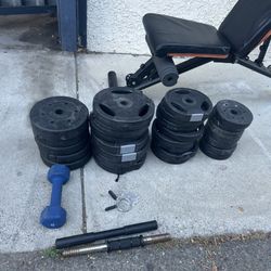 Weight Plated And Bench