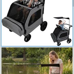 2 Seater car Shaped Wagon.